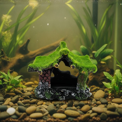 Elegant resin betta - betta, fish